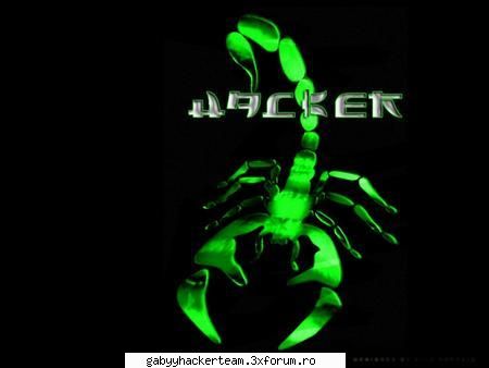 Flood IP - johnny-bz - Hacking T00ls