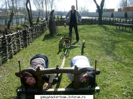 la jug - Dupa ani buni de cercetare, savantii romani au - Funny